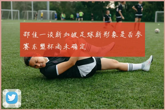 邵佳一谈新加坡足球新形象是否参赛东盟杯尚未确定